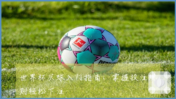 世界杯买球入门指南，掌握投注规则轻松下注