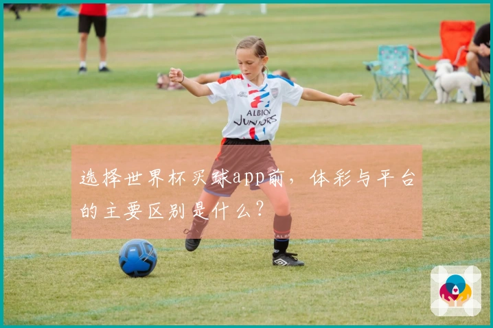 选择世界杯买球app前，体彩与平台的主要区别是什么？
